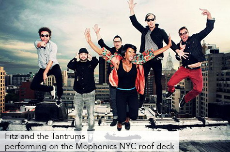 Fitz-andthe-tantrums-roof