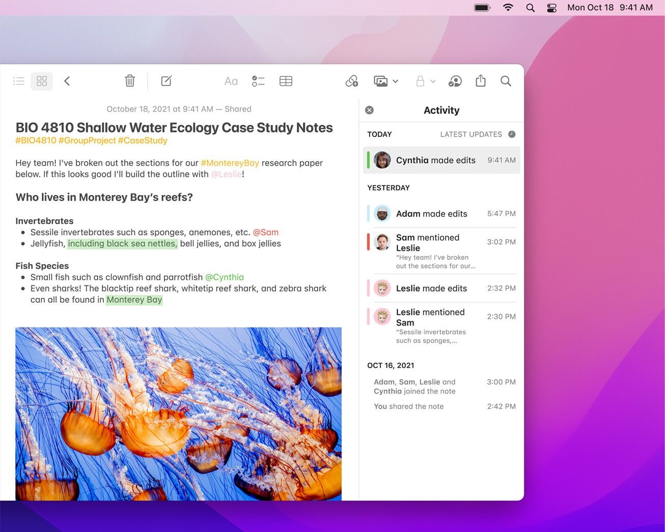 Screenshot of a Mac with macOS Monterey wallpaper and a shot of the Notes feature.